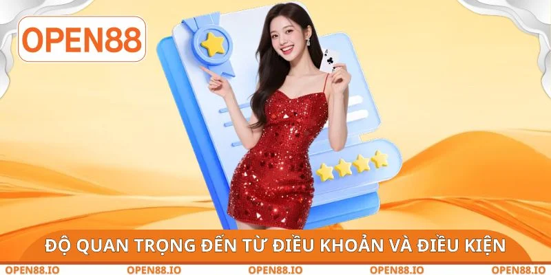 Độ quan trọng đến từ điều khoản và điều kiện