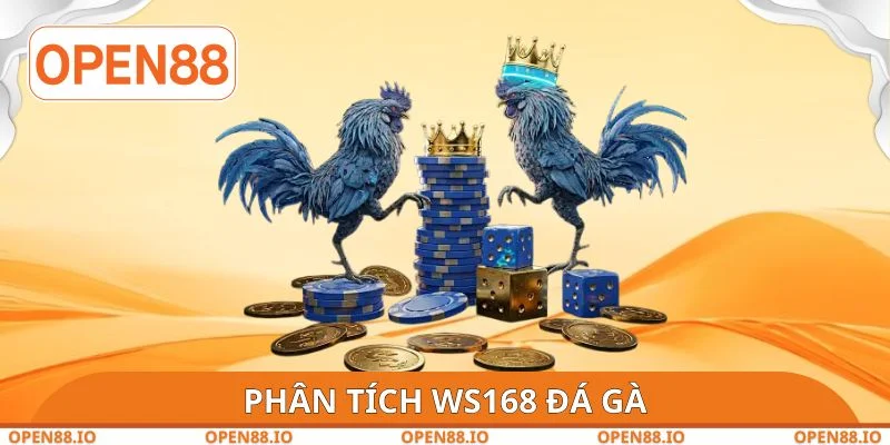 Phân tích WS168 đá gà