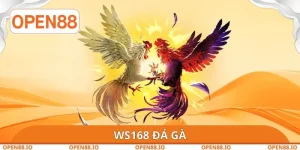WS168 Đá Gà OPEN88 - Tổ Chức Trận Đấu Một Cách Công Bằng